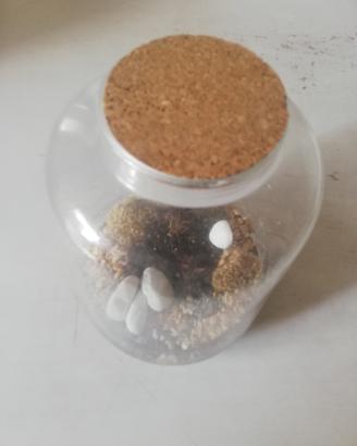 vaso per terrarium