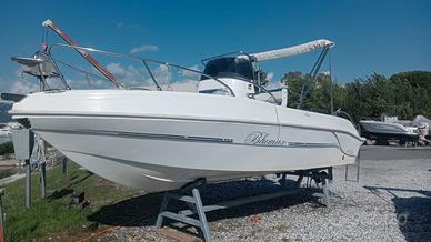 BLUEMAX 19 -VALUTO PERMUTA