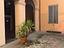 Immagine 11