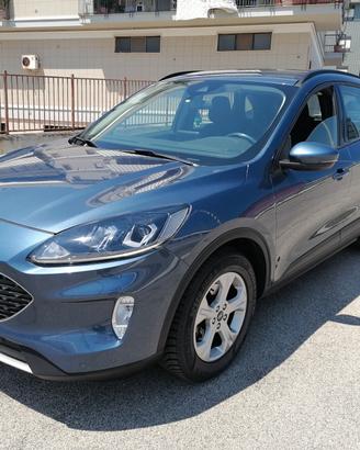 Ford Kuga 1.5 EcoBlue 120 CV Titanium 2022
