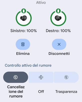 auricolari originali Google Pixel 