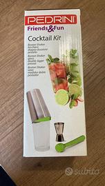 Shaker cocktail kit