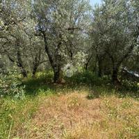 TER. AGRICOLO A NARNI