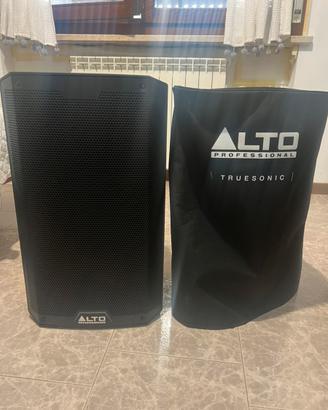 Cassa 2500 watt con custodia