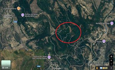 Sul Monte Minerva, Terreno adatto biodiversità