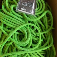 EDELRID BOA GYM 9.8, nuova, 350 m., corda cima