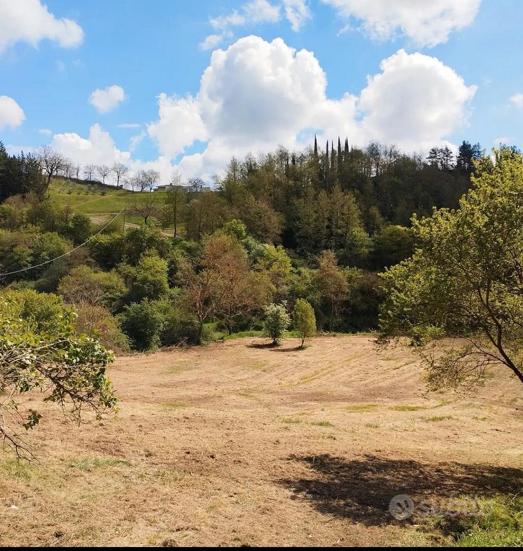 terreno edificabile e agricolo Casentino - Vista 2