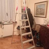 scala alluminio hailo