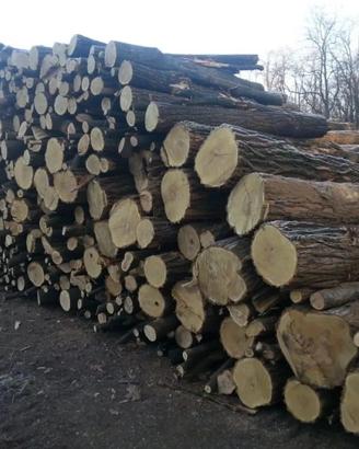 Vendersi legna di acacia e castagno