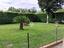 Immagine 7