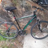 bicicletta gravel bottecchia 