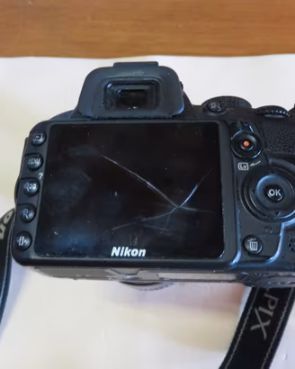 Nikon Coolpix D3100