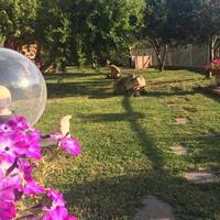 Spazioso bilocale San Teodoro