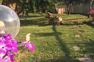 Spazioso bilocale San Teodoro