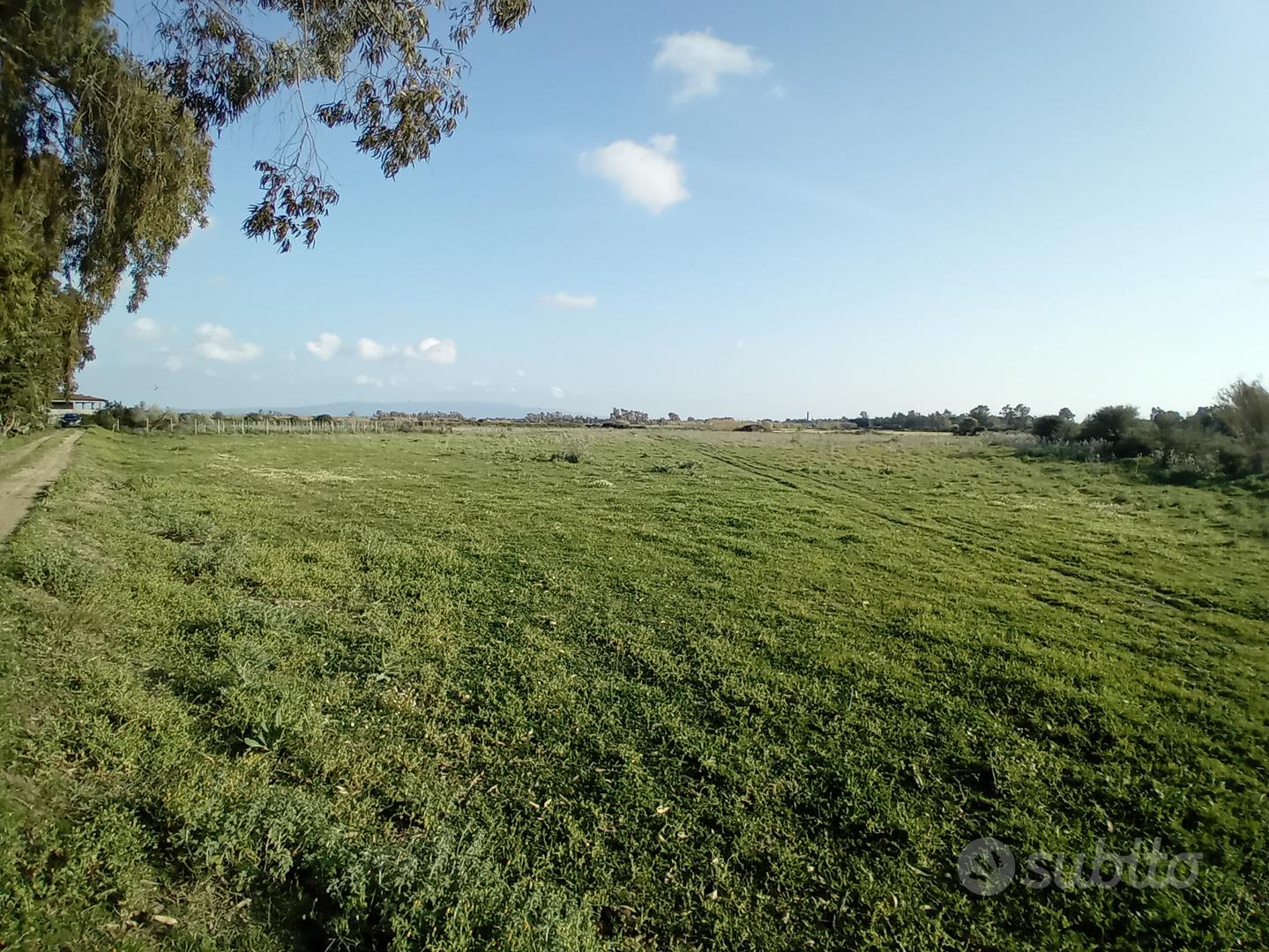 Terreno agricolo - Vista 2