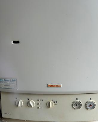 Caldaia immergas Avio Maior