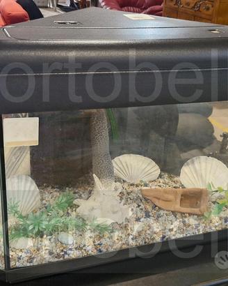 Codice: 274253 ACQUARIO ANGOLARE CON COPERCHIO NE