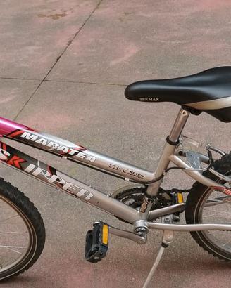 Bicicletta