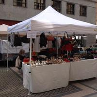 Gazebo Bertoni zona Moncalieri (To)