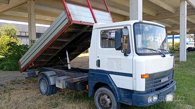 Nissan ribaltabile