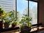 Immagine 26