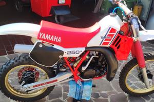 Yamaha YZ 250 - 1984