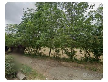 Vendita Terreno agricolo a Moncalieri