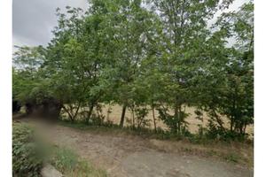 Vendita Terreno agricolo a Moncalieri