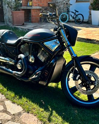 Harley v rod vrsc vrod