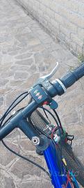 mtb elettrica 