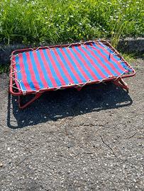 lettino cane gatto  animale 