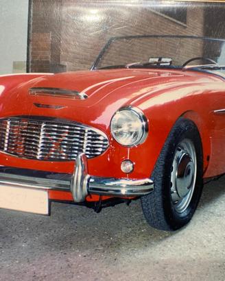 Austin healey del 1958