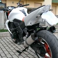 Special Titanium Kawasaki Z1000 2007-2009