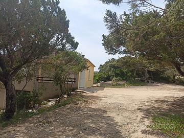 Cottage a 100 MT dalla spiaggia
