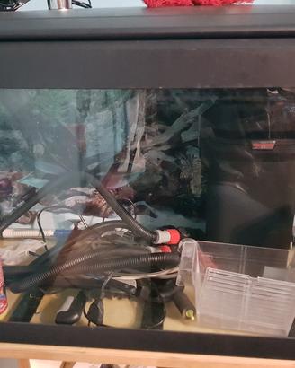 acquario 100 litri 