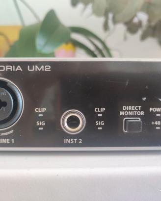 BERINGHER U-PHORIA UM2
