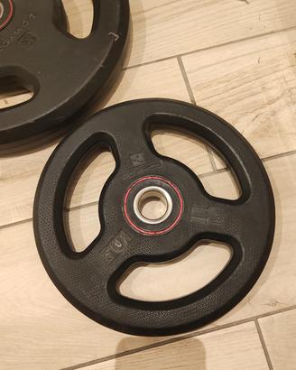   2 dischi bodybuilding 