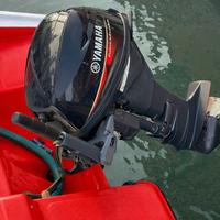 Yamaha  9.9/20 imbarcato anno 2020