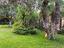 Immagine 23