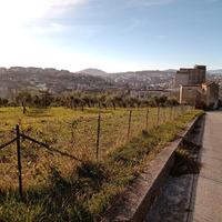 Terreno in Contrada Colle della Api