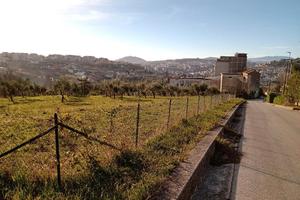 Terreno in Contrada Colle della Api