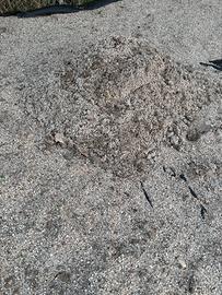 Misto stabilizzato (cava)