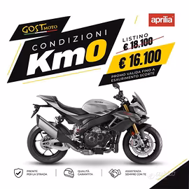 Aprilia Tuono V4 1100 Shark Grey