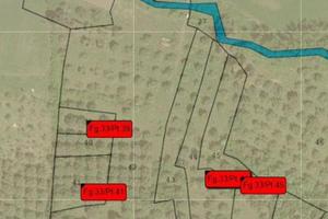 Terreno Agricolo Siligo