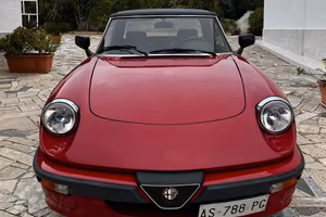 duetto quadrifoglio verde 🍀 