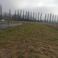 Lotto agricolo a Feletto Umberto