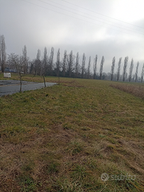 Lotto agricolo a Feletto Umberto