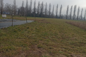 Lotto agricolo a Feletto Umberto