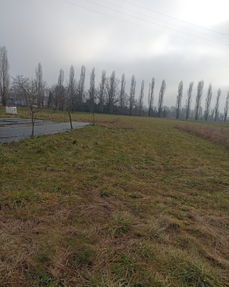Lotto agricolo a Feletto Umberto