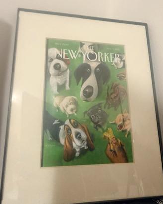 Colezione New York quadretto cani